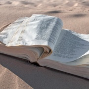 Wandering in the WIlderness - Finding Inspiration in the Book of Exodus